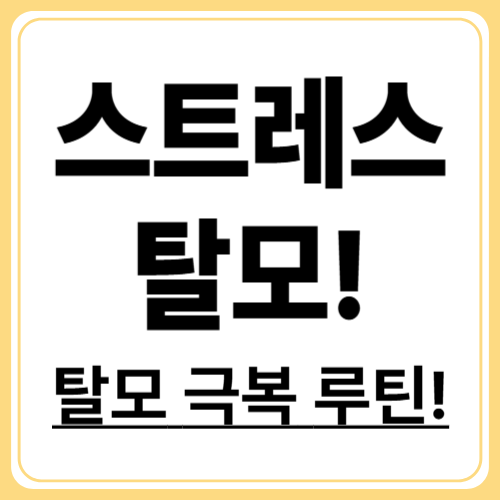 스트레스로 생긴 탈모, 되돌릴 수 있을까? 실천 가능한 회복 습관 7가지