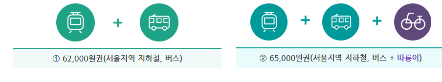 기후동행카드 가격