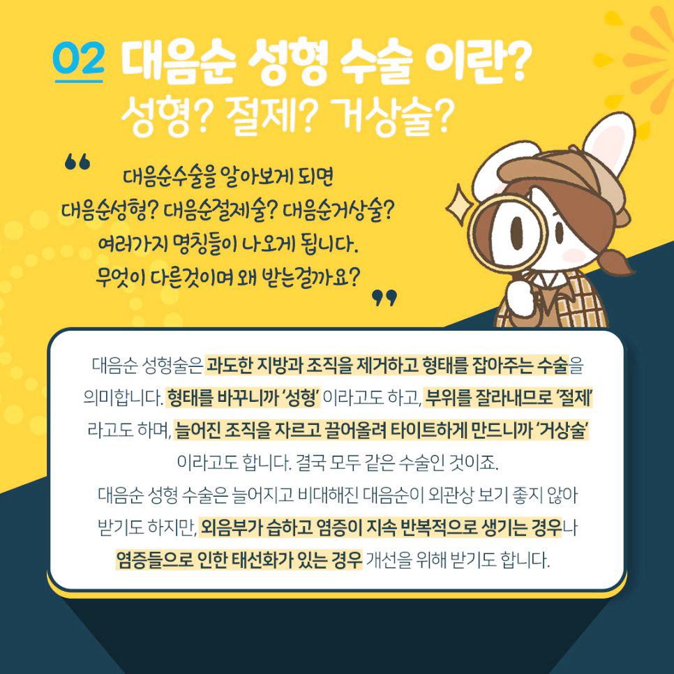 대음순성형수술
대음순성형
대음순절제술
대음순거상술