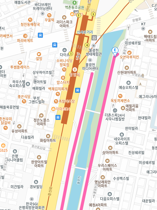 불광천 벚꽃 축제