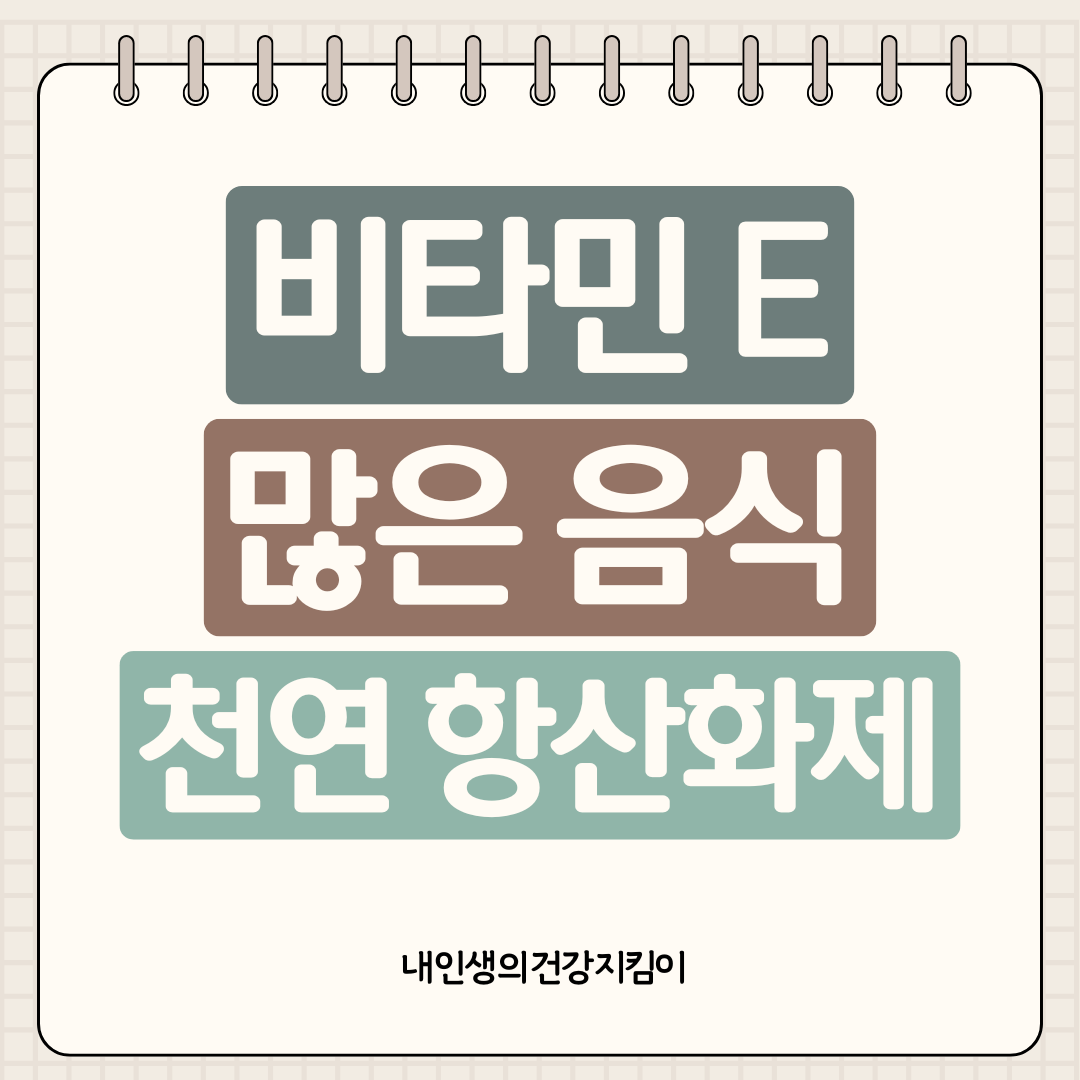 비타민 E 많은 음식 8가지 ❘ 천연 항산화제로 노화 막는 슈퍼푸드