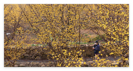  지리산 숙소 추천