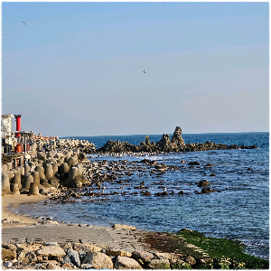 관성솔밭해변