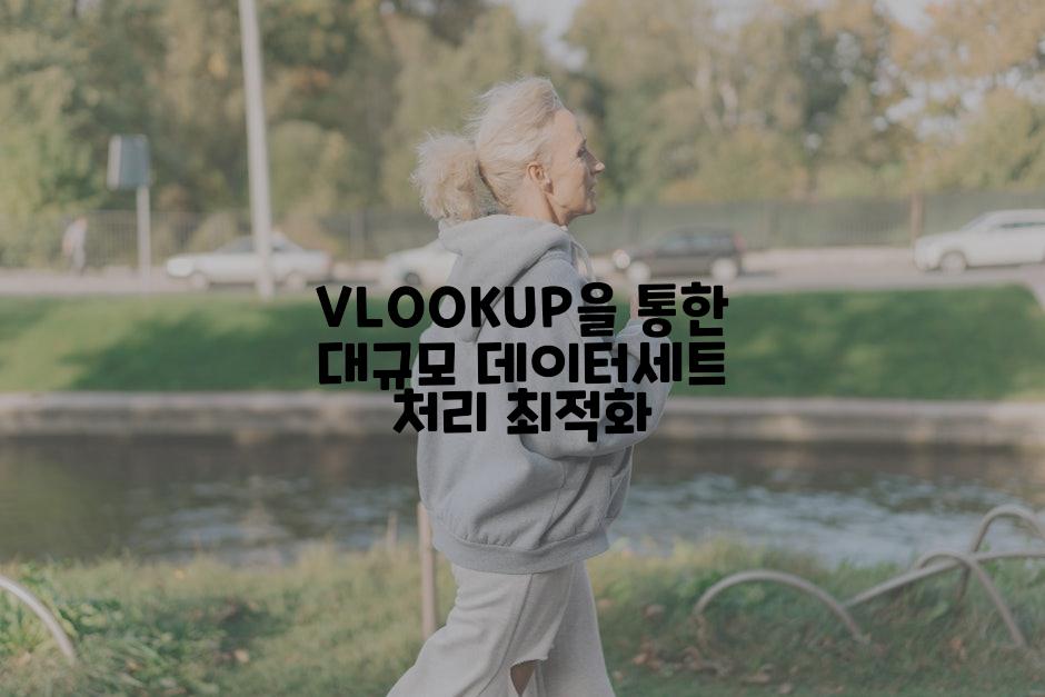 VLOOKUP을 통한 대규모 데이터세트 처리 최적화