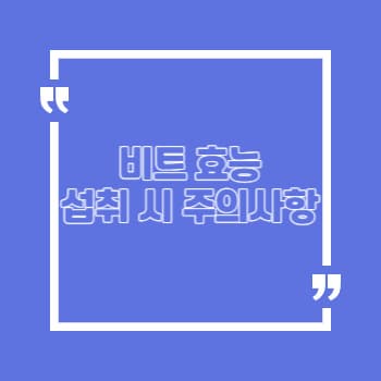 비트 효능 주의사항 부작용