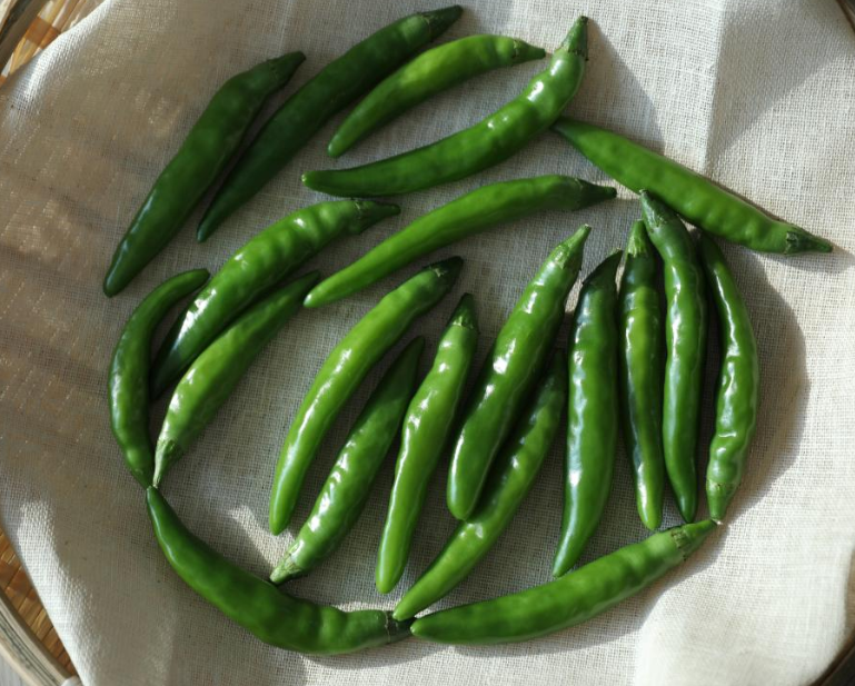 청양고추_부작용