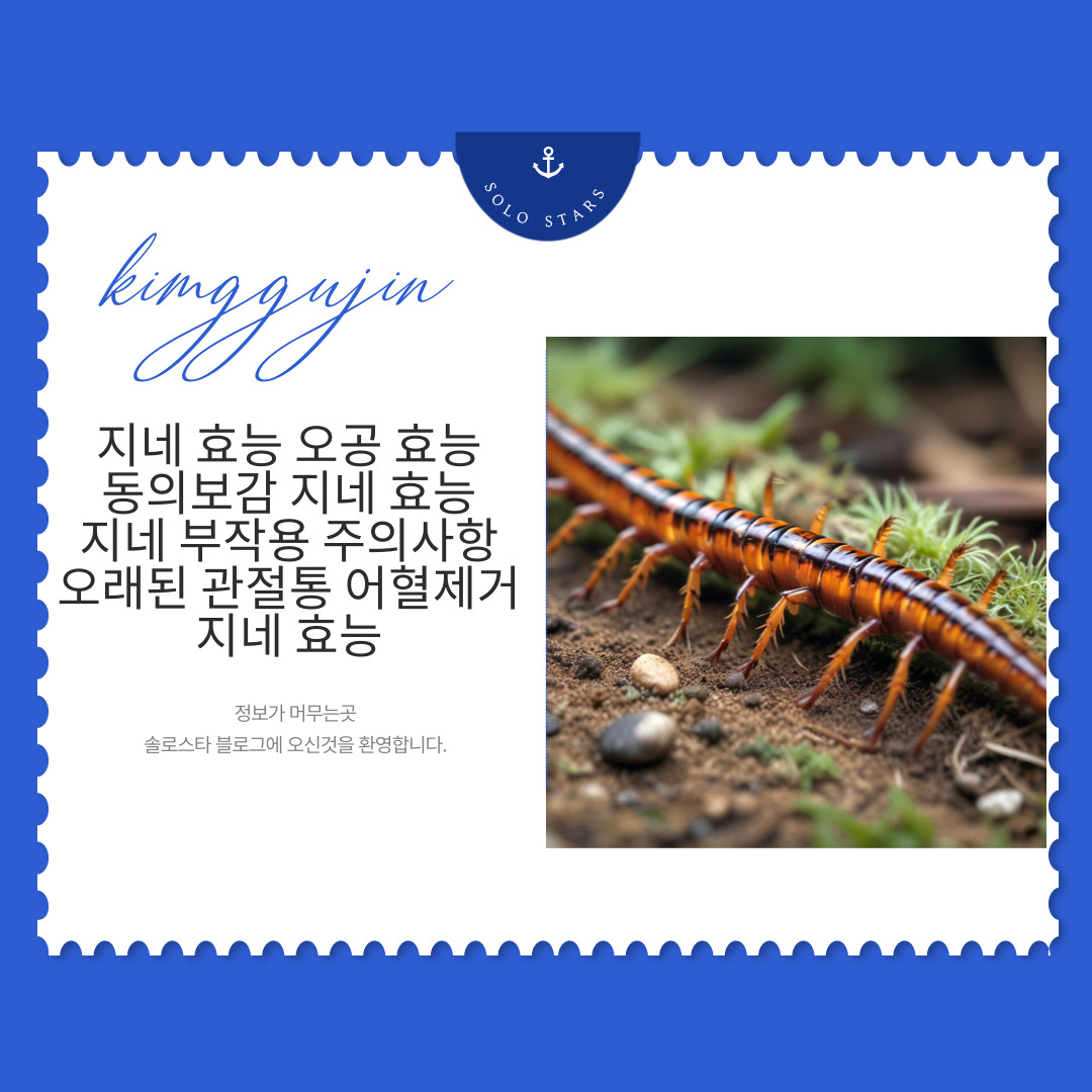 지네 사진