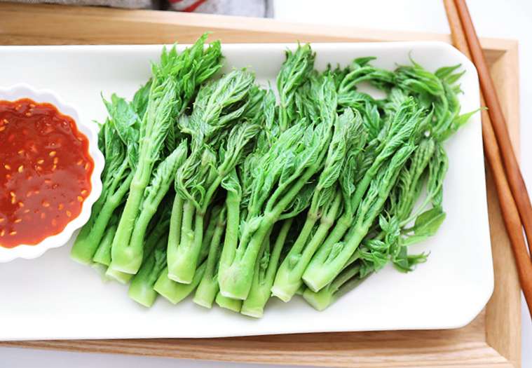 경칩 두릅