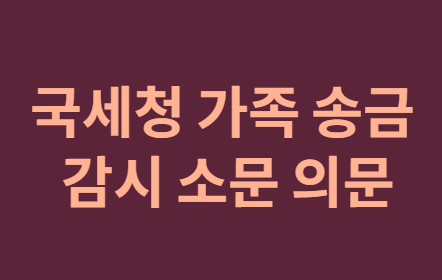 가족 송금&amp;#44; 국세청 AI 감시 소문의 진실과 안전 가이드!