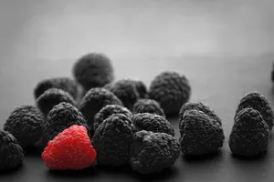 유방암에-좋은-음식