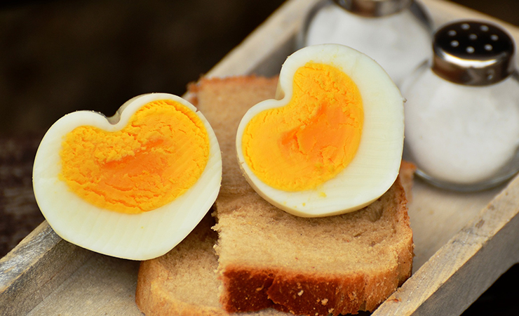 달걀 계란 피로회복에 좋은 음식