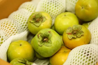 태추단감 이란 아직도 그냥 단감이라고 생각하세요 feat 일반 단감과 완벽 비교 분석으로_13