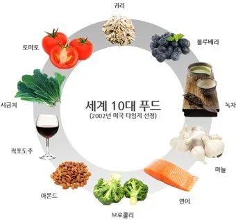 슈퍼푸드 종류 효능_49