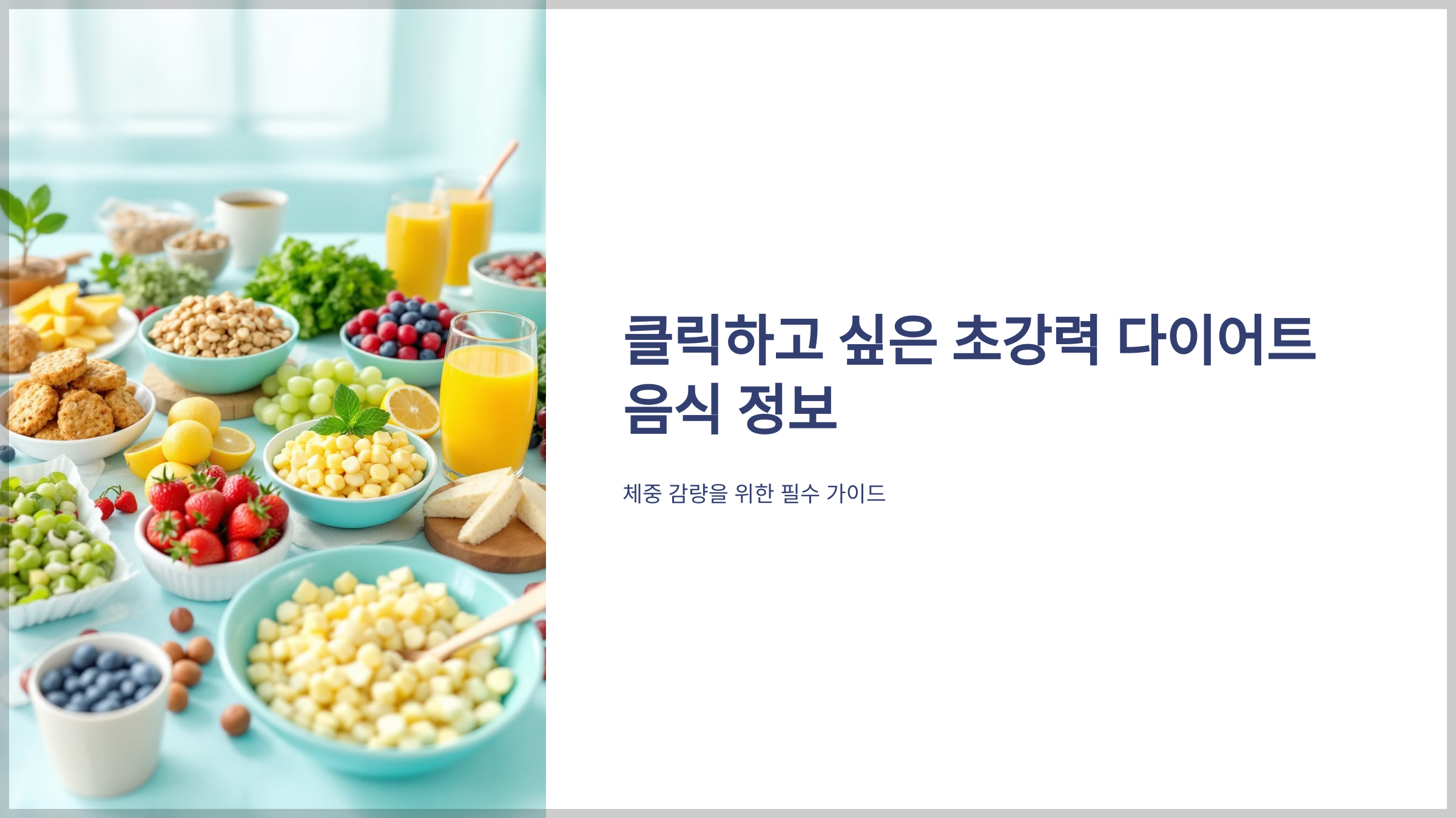 다이어트 음식 정보