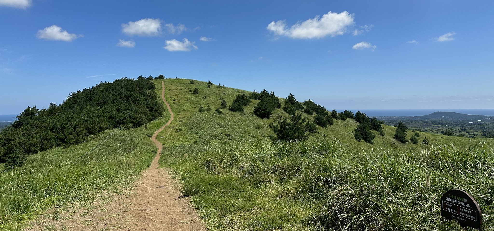 용눈이오름 정상
