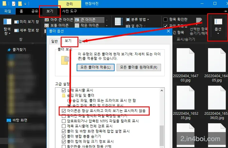 폴더-옵션