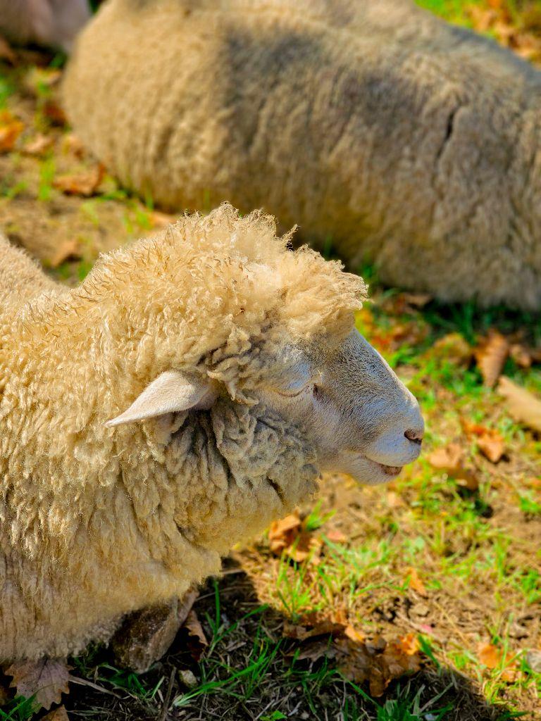 강릉 가볼만한 곳 BEST 10