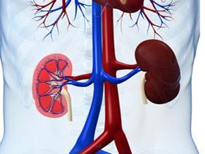 사구체신염 증상