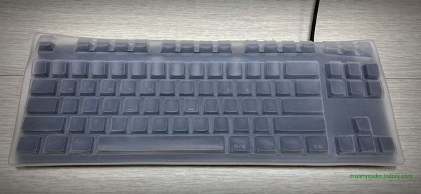 로지텍 기계식 키보드 G413 TKL SE 2022년 5월~9월 레오폴드 텐키리스 키보드 키스킨