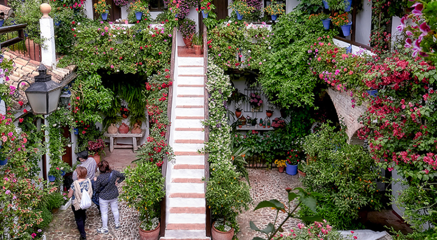 The Courtyards Festival of Cordoba