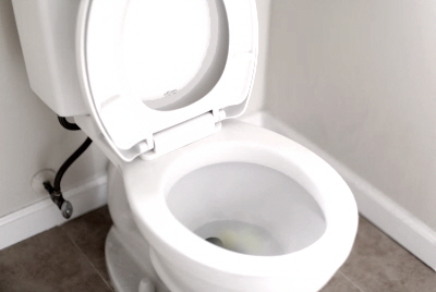 변기 물 내림 모습