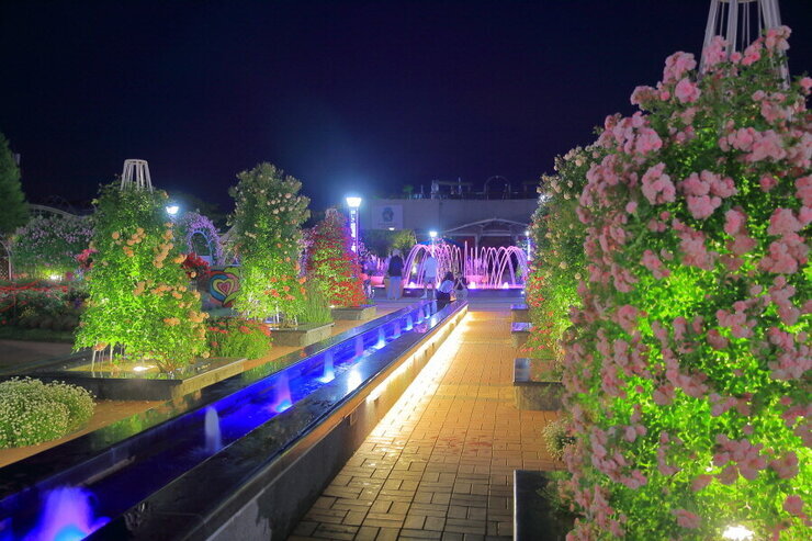 [5월 축제]2025 곡성 세계장미축제❘장미 실시간 개화 상황, 입장권 예매 방법, 프로그램 및 일정, 체험 가이드