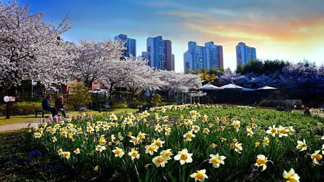선암호수공원