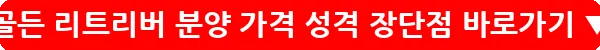 골든 리트리버 분양 가격 성격 장단점_19