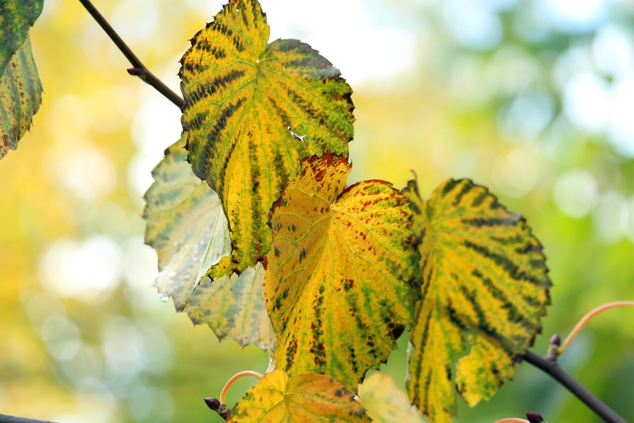 제주 서귀포 맛집 현지인 추천