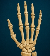 비타민D 하루 권장량