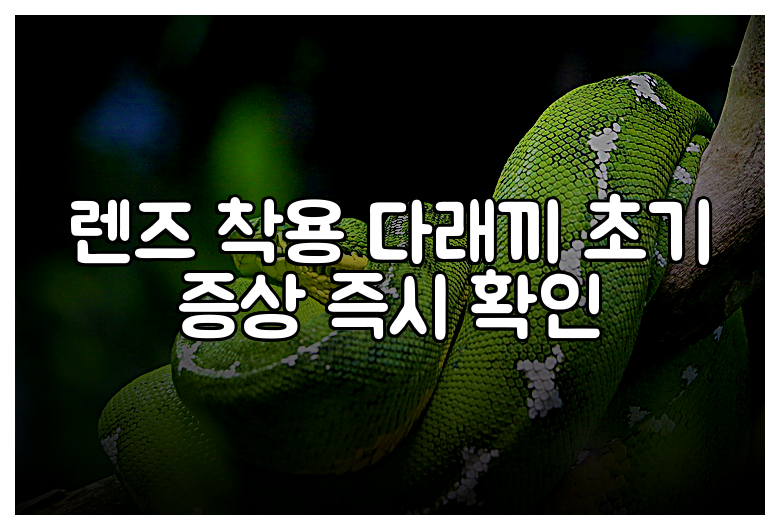 렌즈 착용 다래끼 초기 증상 즉시 확인