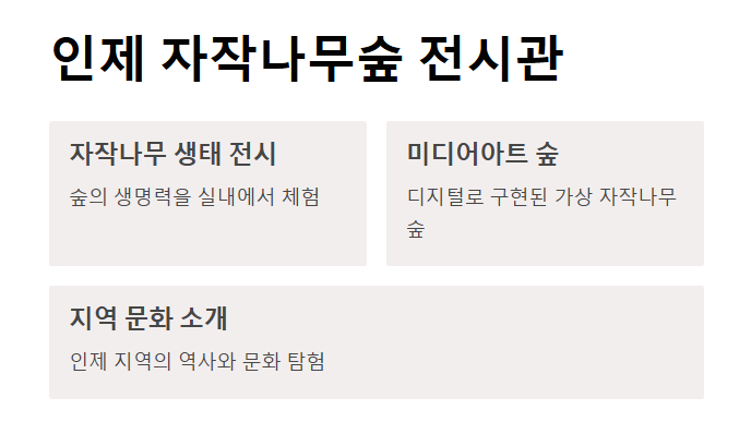 강원도 실내 데이트코스 추천 BEST 7