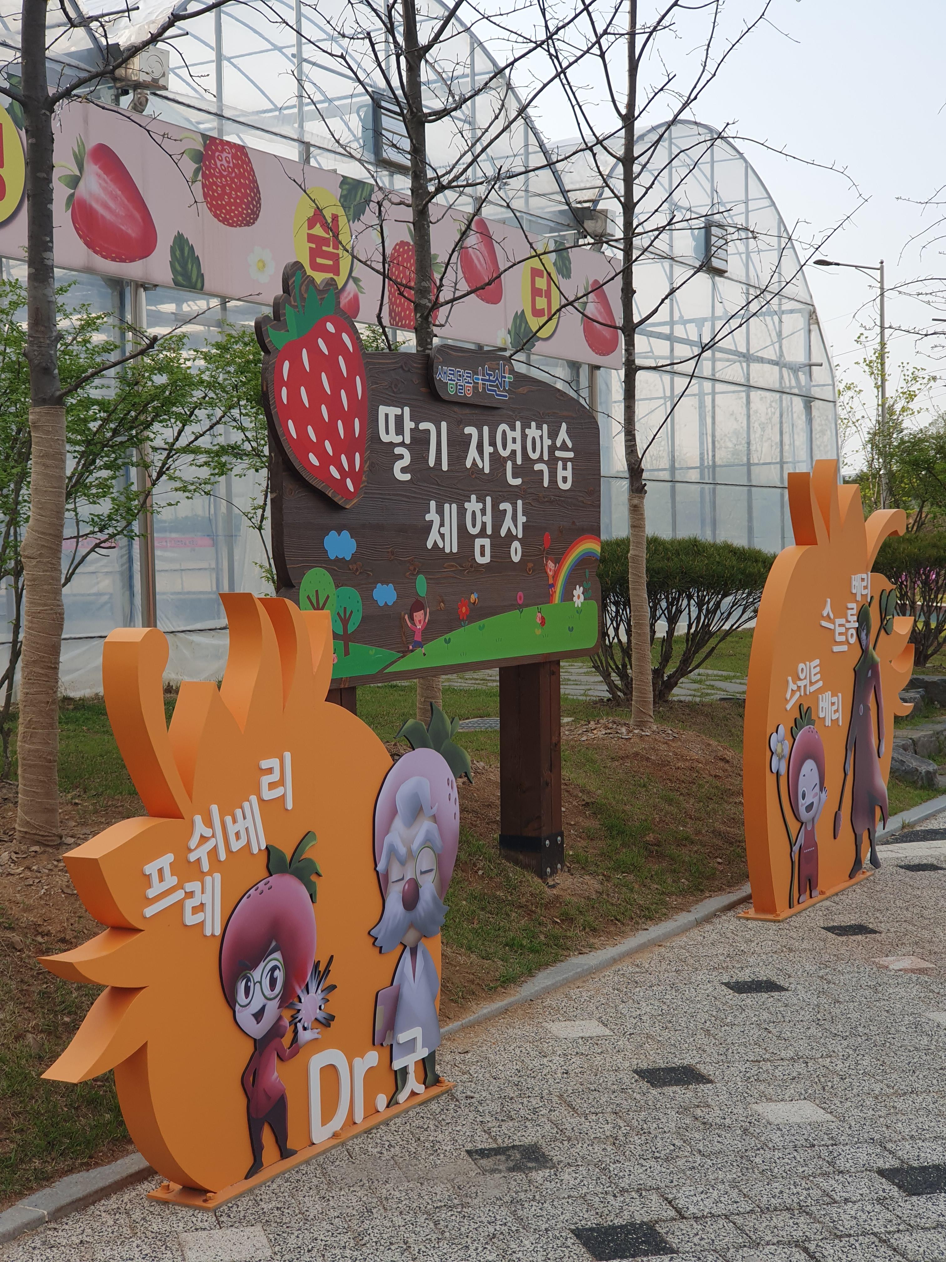 논산 딸기테마공원 딸기 자연학습 체험장