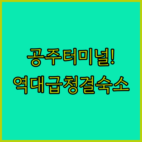 공주 터미널 근처 깨끗한 호텔 추천 ..