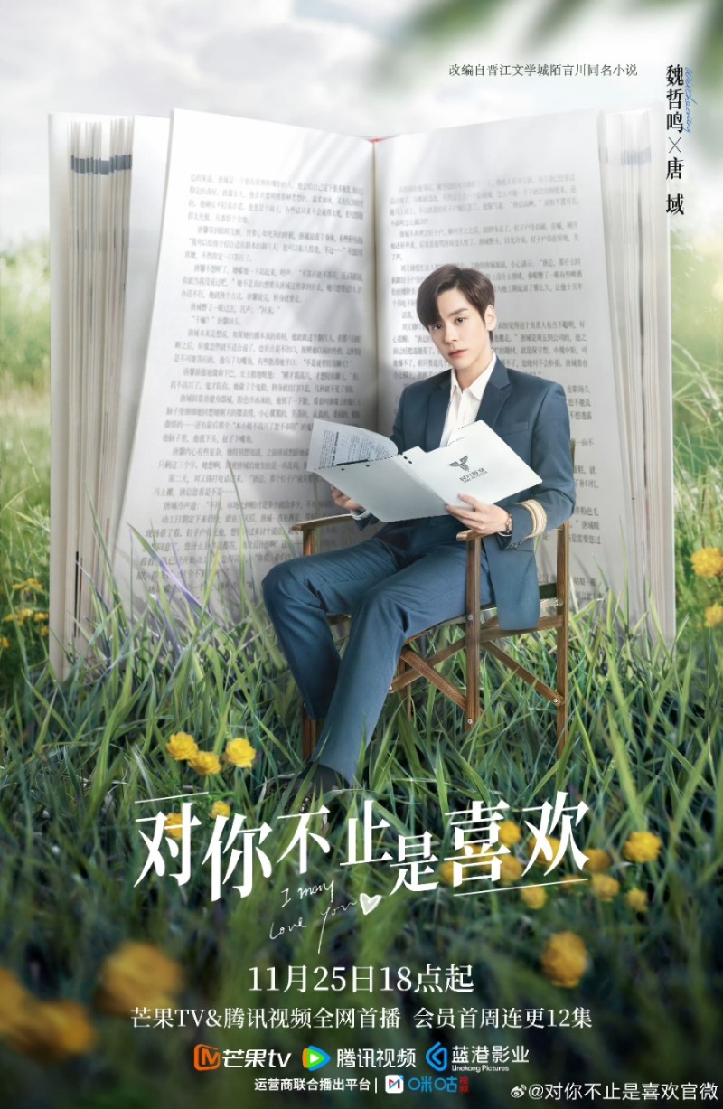 대니부지시희환(对你不止是喜欢) 위철영