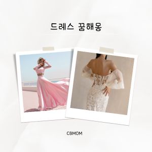 드레스 꿈