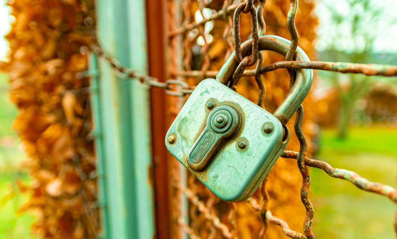 비대면 계좌개설 안심차단 서비스 신청 방법, 여신거래 안심차단 서비스 신청 방법