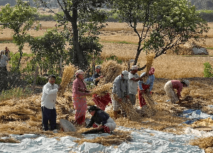 2024 설날연휴 2월 빨간날 대체공휴일