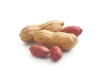 땅콩 효능 칼로리 권장섭취량_42