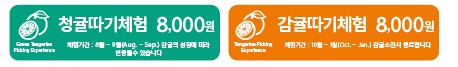 체험프로그램 이용요금안내