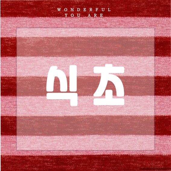 식초의 모든 것: 건강과 요리 비법 총정리