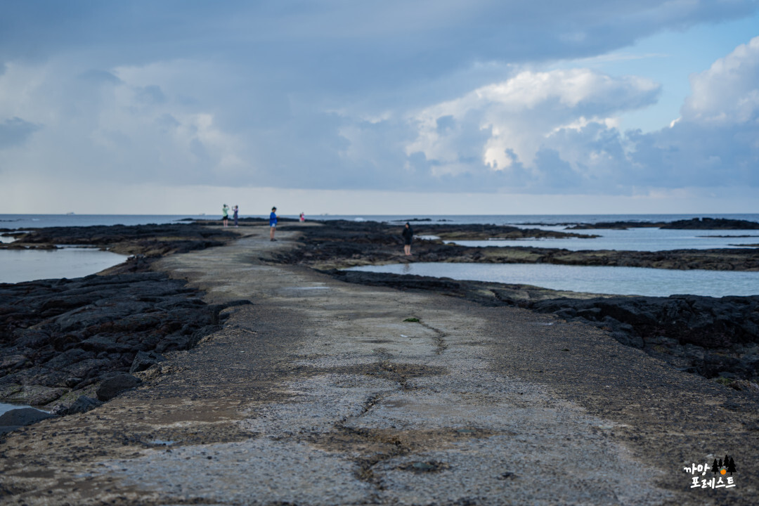 김녕 바닷길 미끄러움