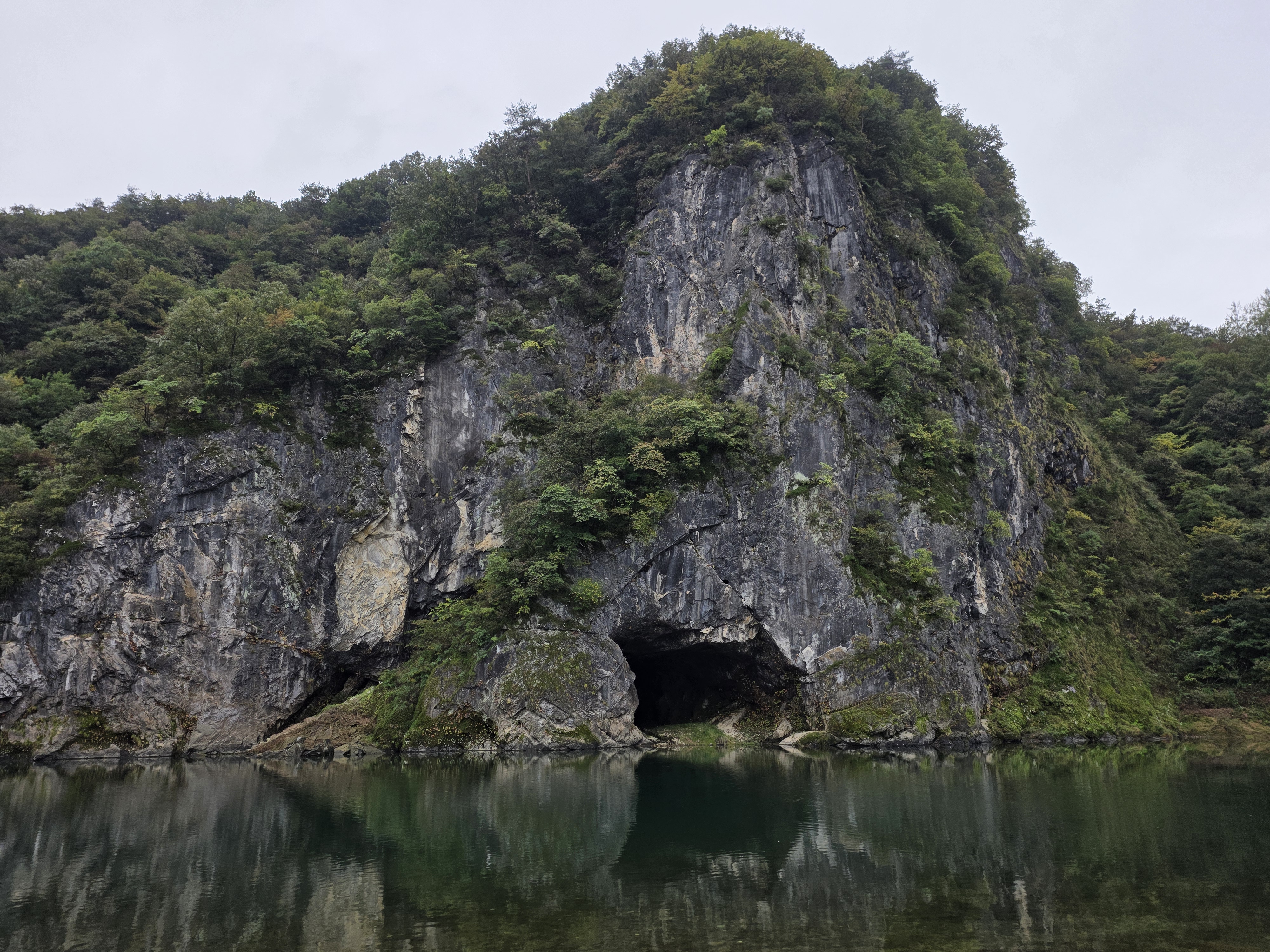 동강붉은메밀꽃축제 in 영월