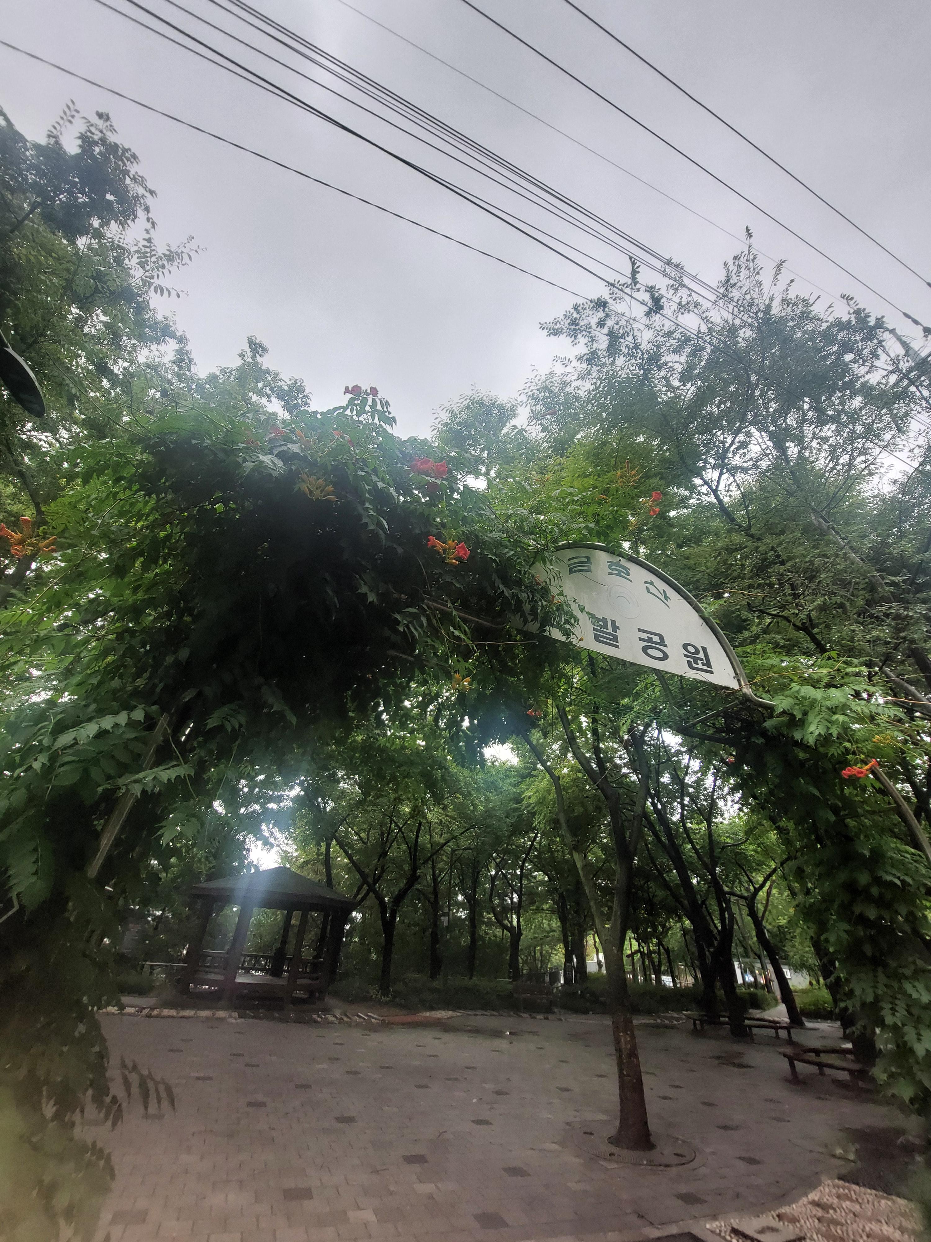 남산매봉산
