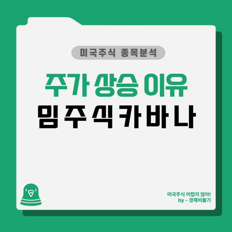 밈주식의 위험성