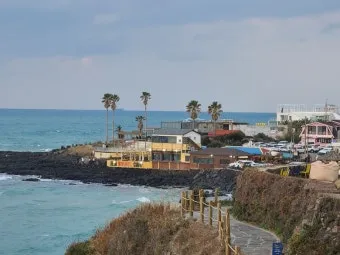 제주 애월 카페 추천 분위기 좋은 브런치 카페 소개_20