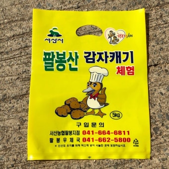 서산 감자축제&amp;#44; 서산 마늘축제