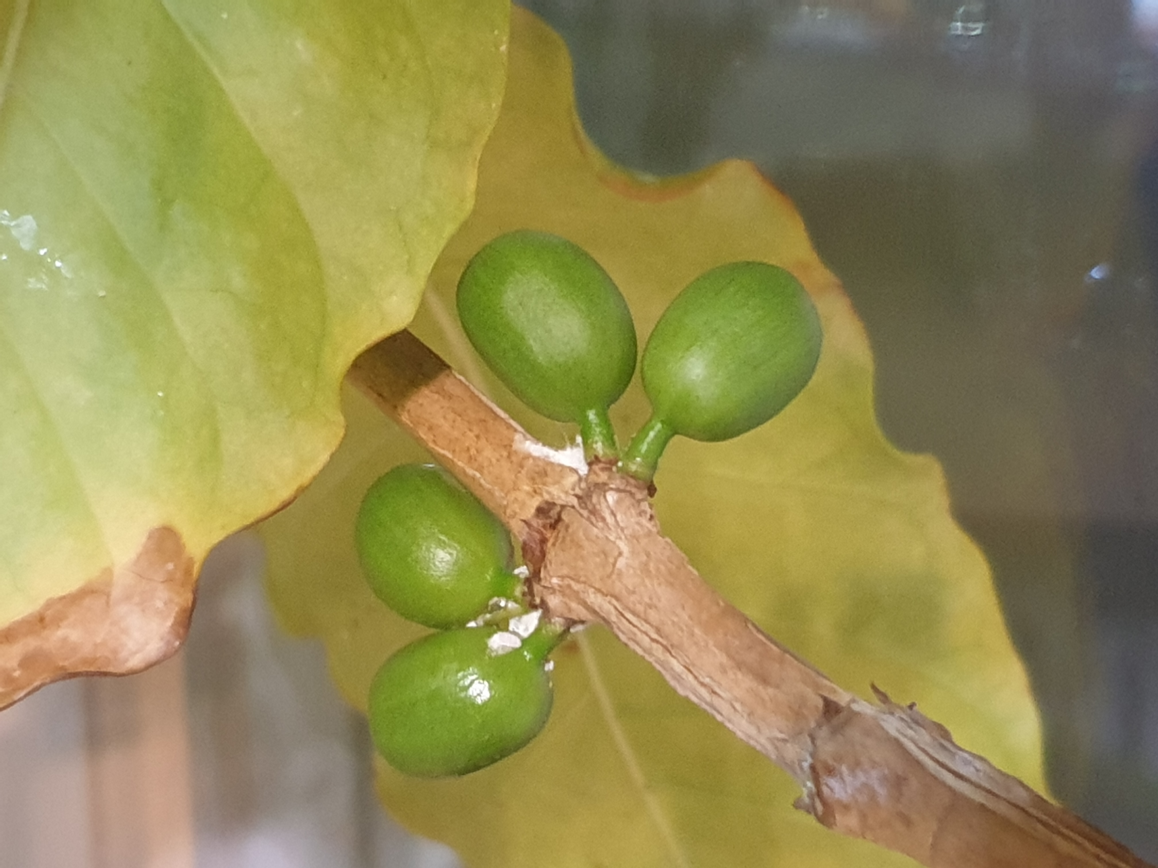 조상을 만나는 꿈
돌아가신 조상꿈
조상이 나오는 꿈
죽은조상꿈
조상묘꿈
조상이 웃는 꿈
조상에게 절 하는 꿈
조상 산소 꿈
조상무덤 꿈
죽은 조상 나오는 꿈