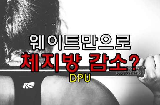 웨이트만으로-체지방-감소