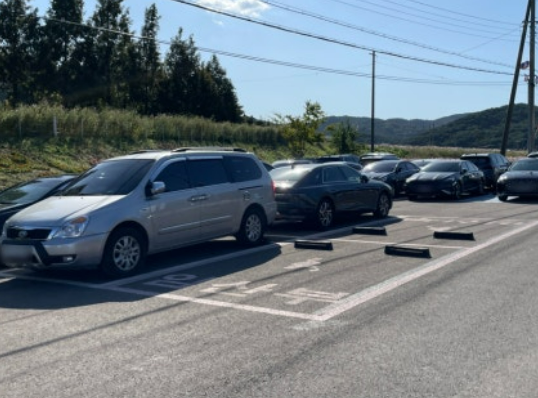 하동 북천 코스모스 메밀꽃축제 주차장